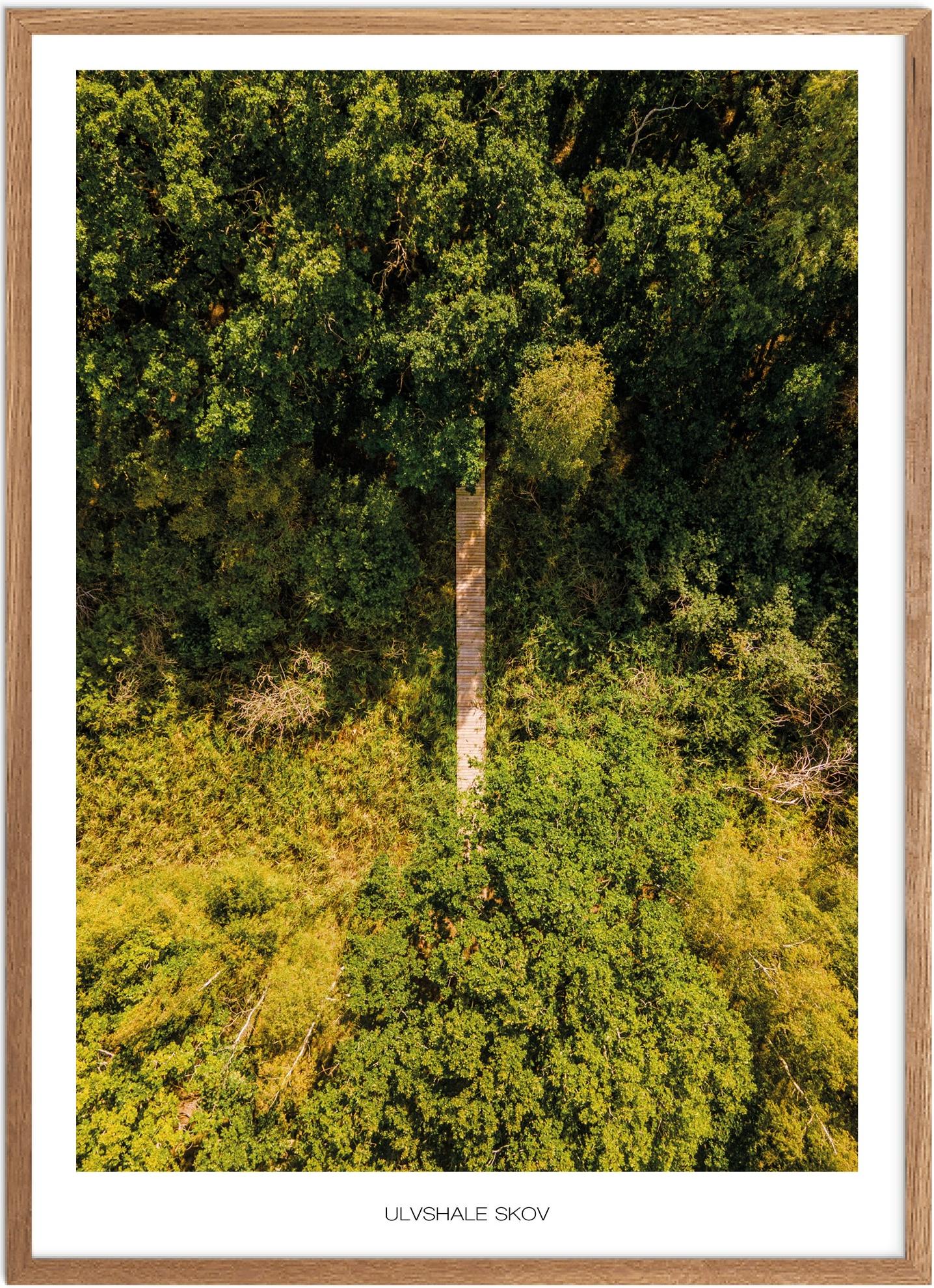 Plakat Ulvshale Skov Naturplakat Recommended Products Seguno Plakat Plakatsnedkeren Drone Plakater - Plakatsnedkeren Plakater