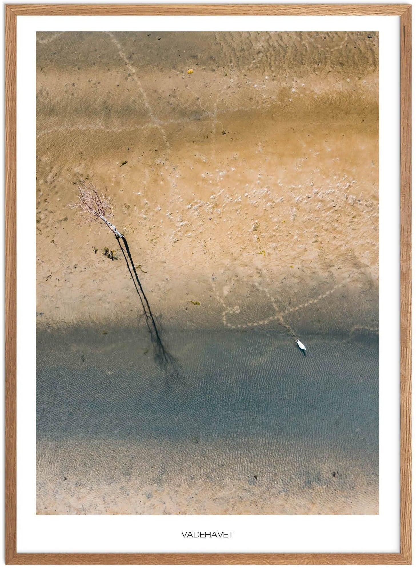 Plakat Vadehavet Træ Naturplakat Plakater Sydjylland Plakat Plakatsnedkeren Bestsellere - Plakatsnedkeren Plakater