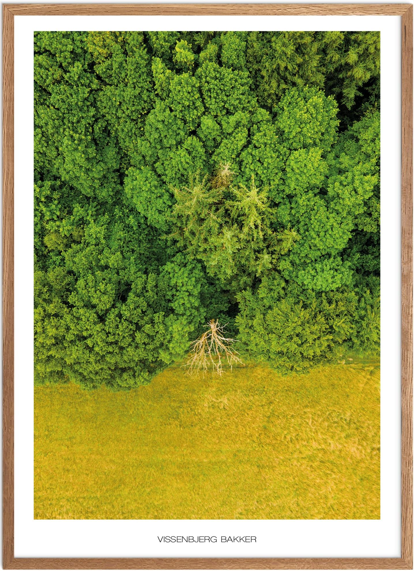 Plakat Vissenbjerg Bakker Naturplakat Plakater Fyn Plakat Plakatsnedkeren Drone Plakater - Plakatsnedkeren Plakater