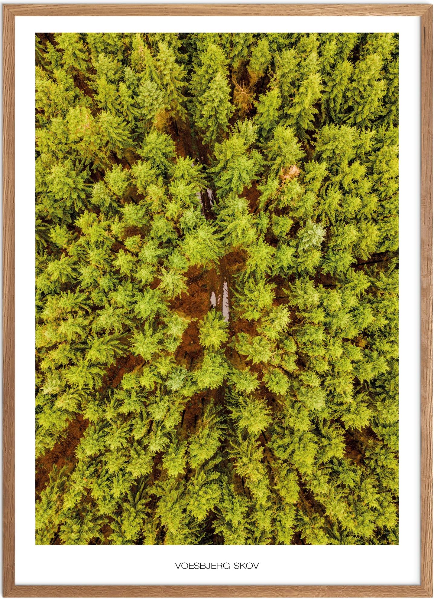 Plakat Voesbjerg Skov Naturplakat Plakater Fyn Plakat Plakatsnedkeren Drone Plakater - Plakatsnedkeren Plakater