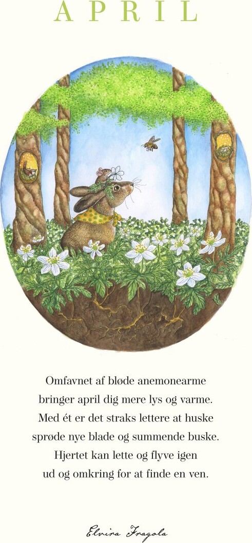 April året Plakat - Turbine Plakater  - 9788740679502