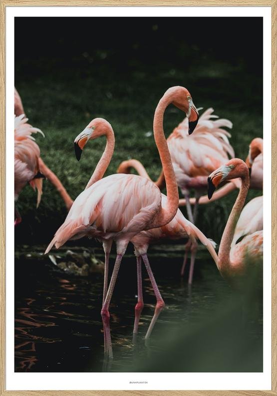 Plakat Med Flamingoer Fotoplakat - Unikplakat.dk Plakater