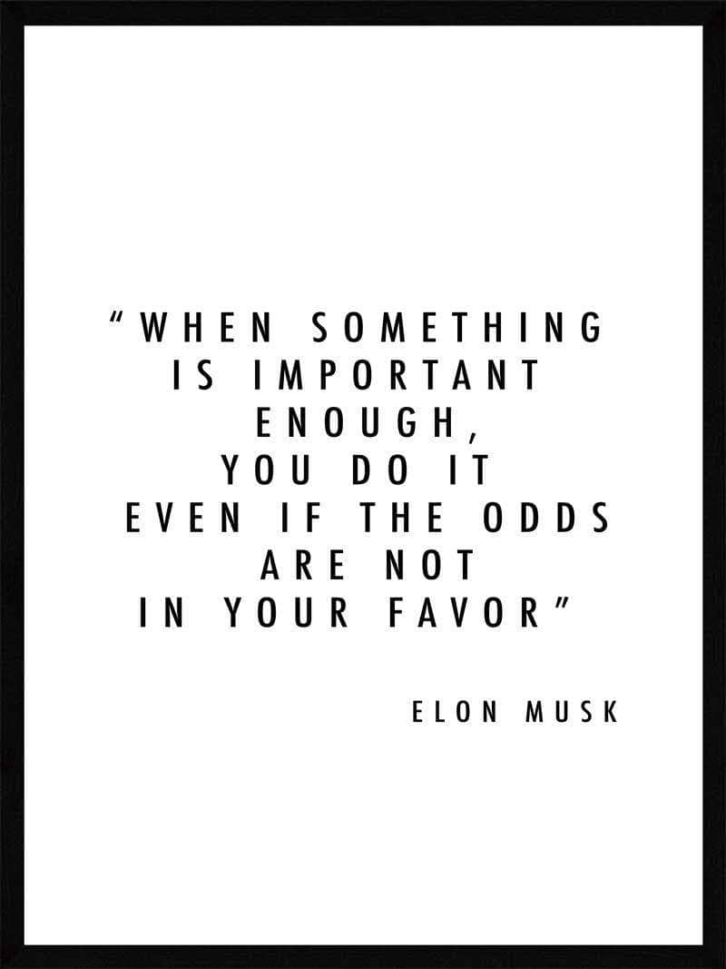 Important Enough Elon Musk Plakat - Postersbyus Plakater