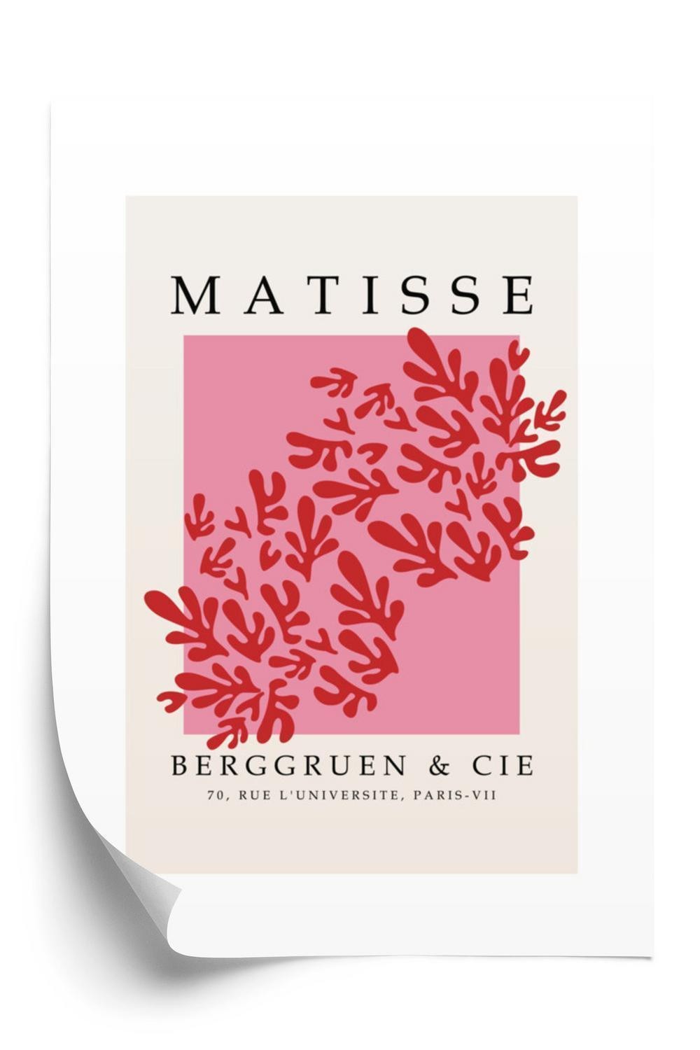 Plakat Botanisk Dekoration Matisse Stil - Doboxa Plakater