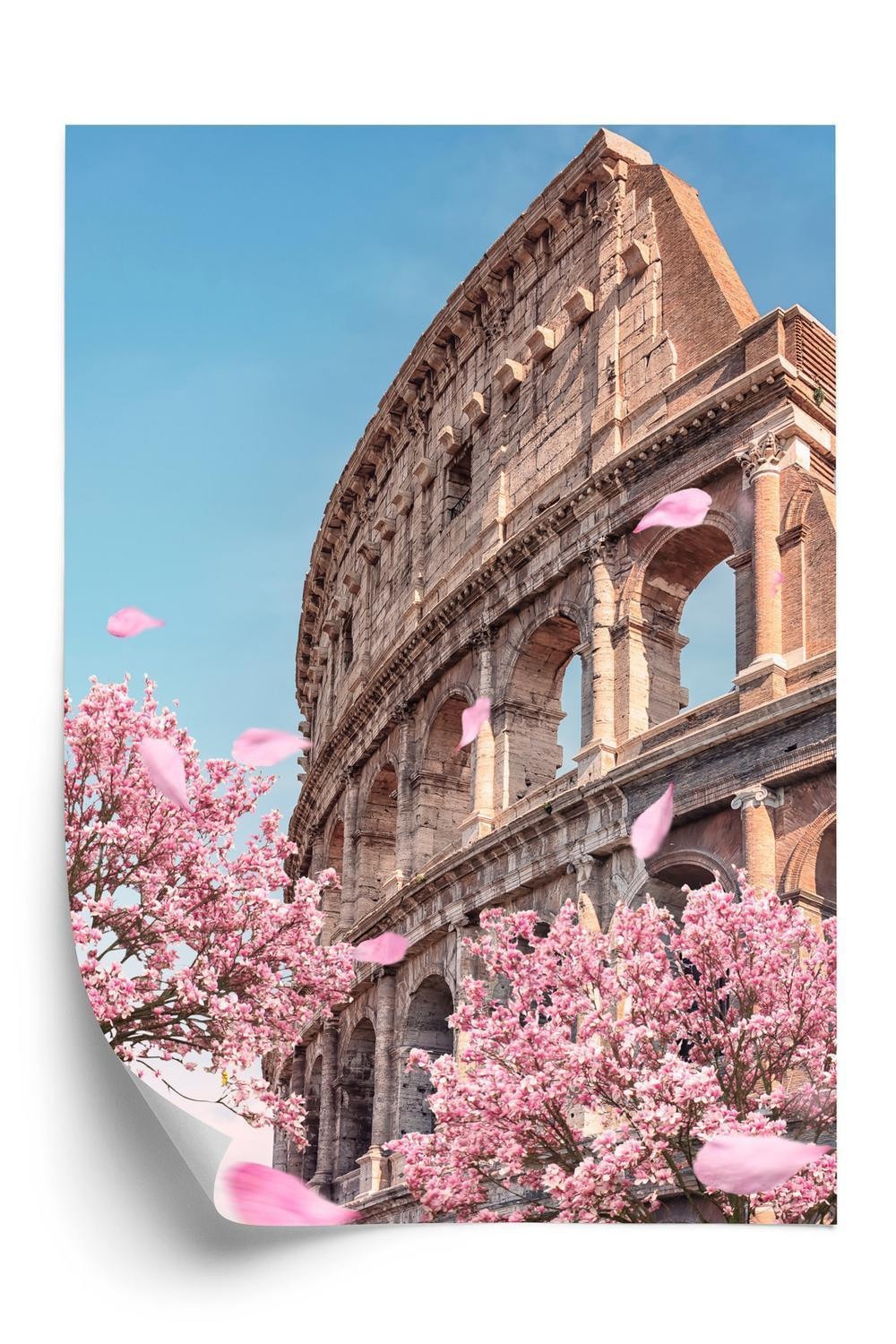 Plakat Colosseum Rom Foråret - Doboxa Plakater