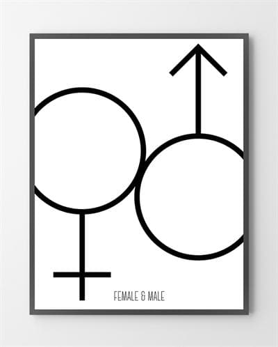 Plakat Design Female & Male 30x40 - Bylux Plakater