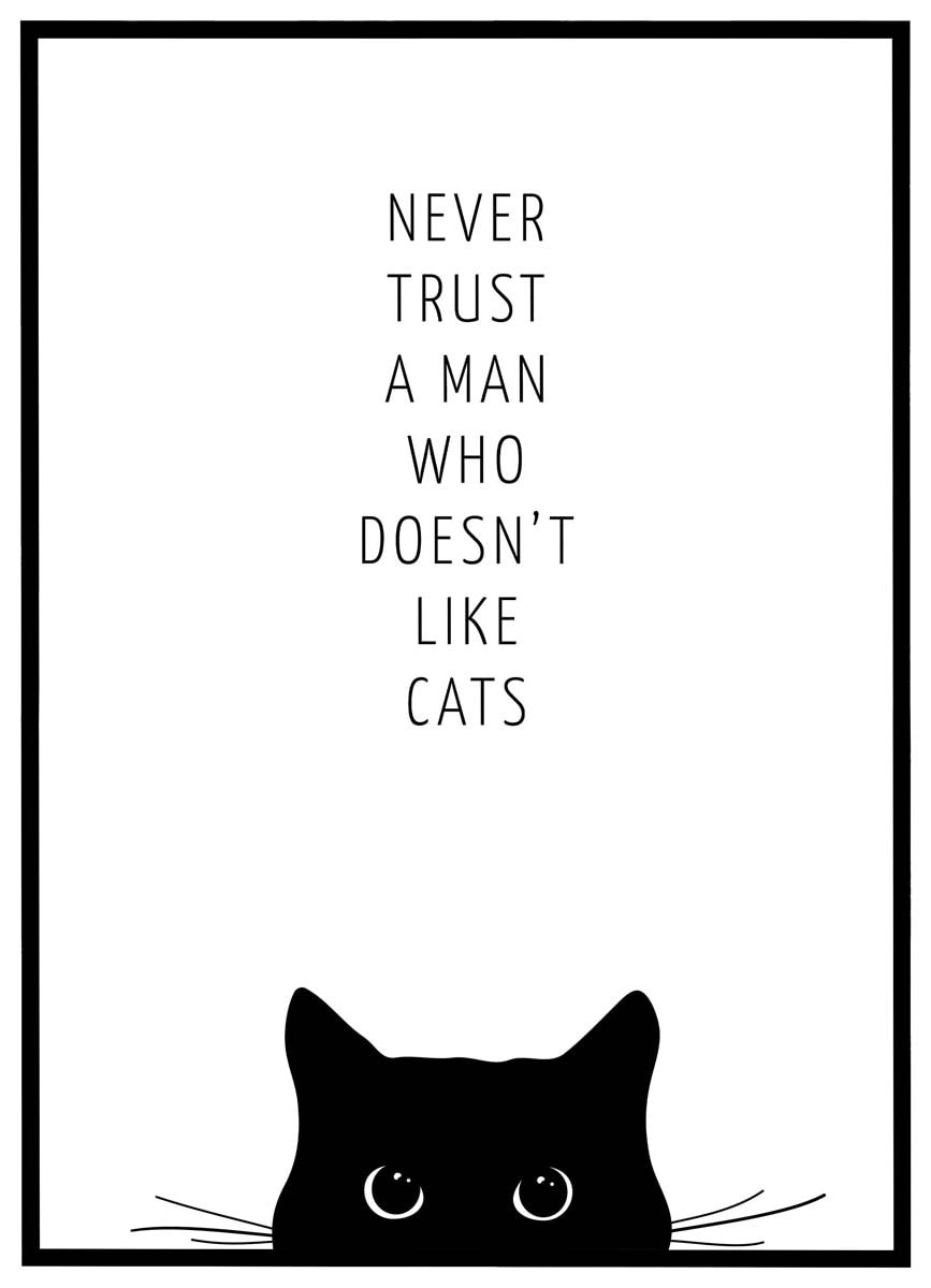 Plakat Never Trust Man Who Doesn Like Cats - Plakater