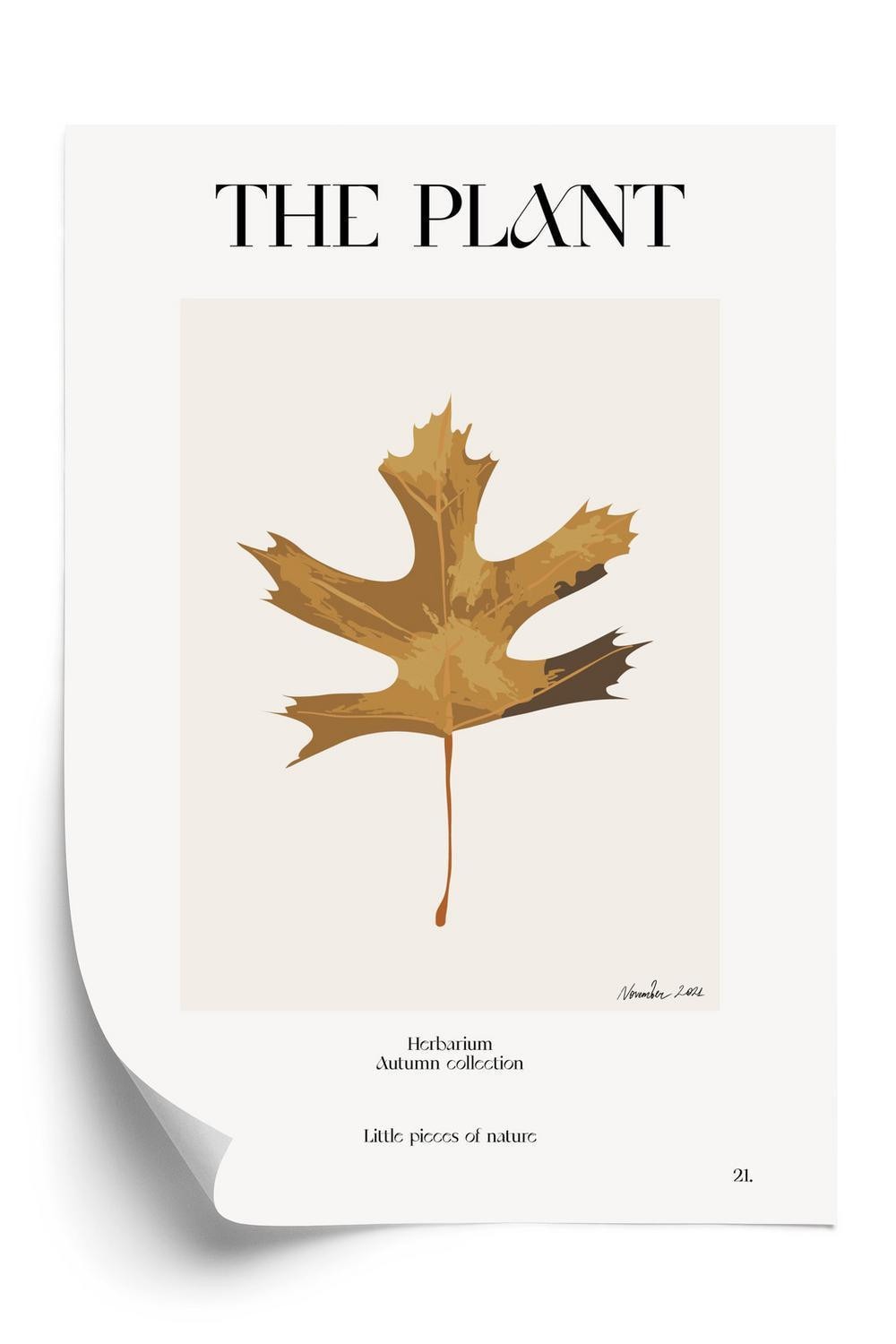 Plakat Efterårsblad Herbariet - Doboxa Plakater