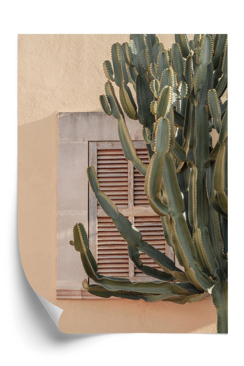 Plakat Eksotisk Kaktus Orange Baggrund - Doboxa Plakater