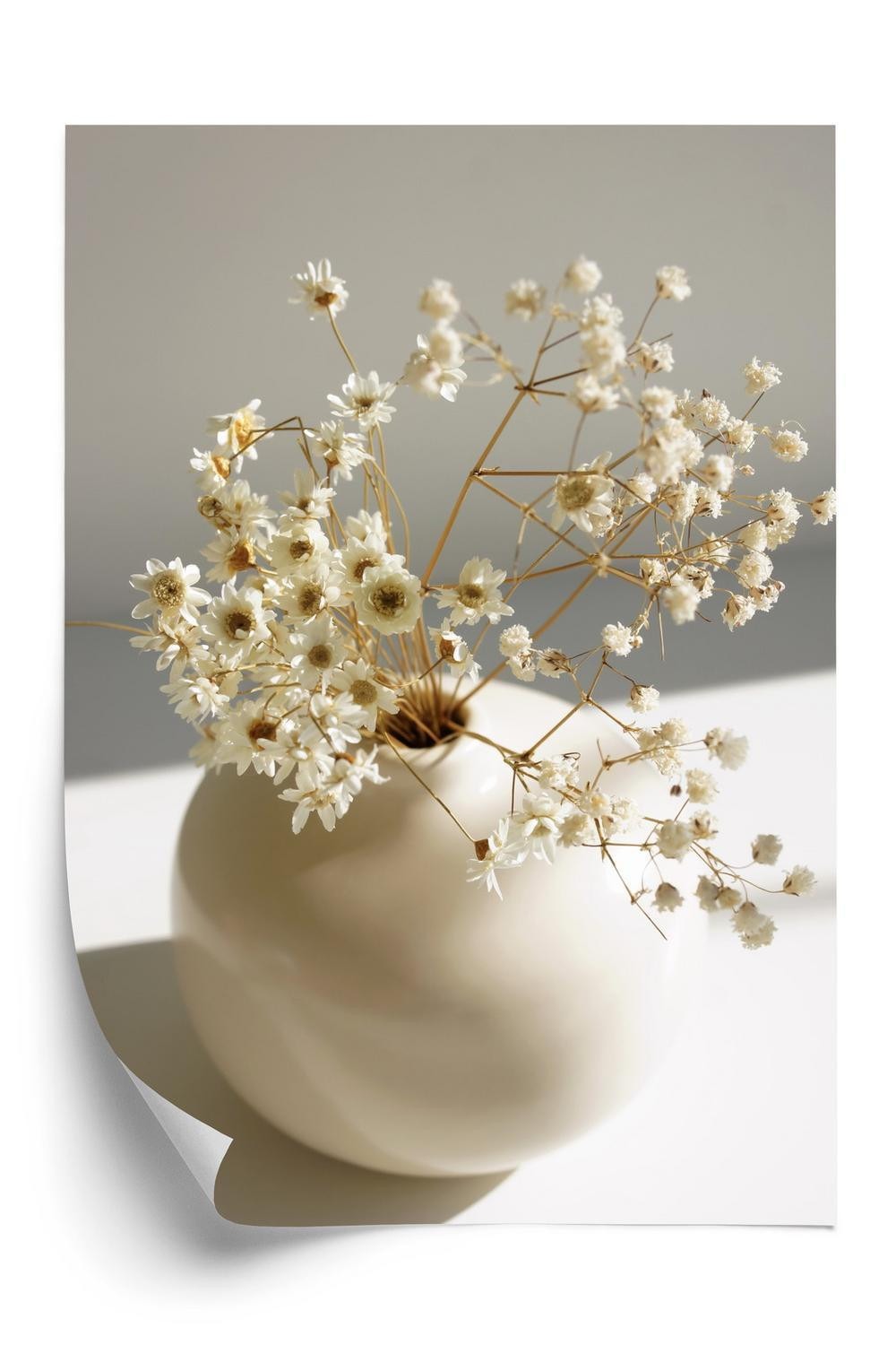 Plakat Vase Med Tørre Tusindfryd Blomster - Doboxa Plakater