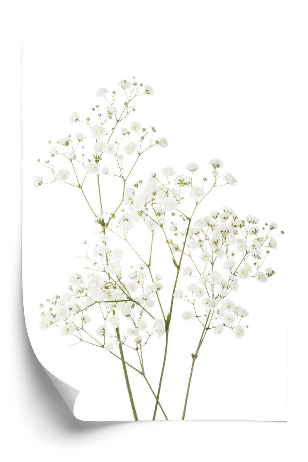 Hvid Plakat Fire Grene Med Små E Blomster - Doboxa Plakater