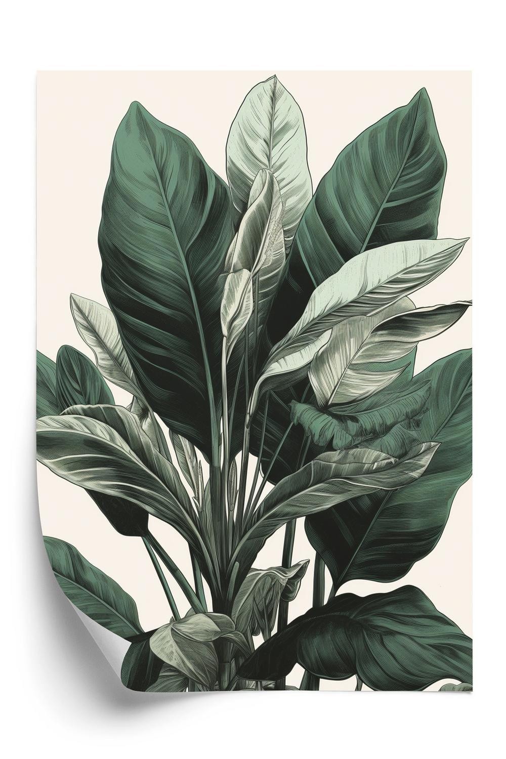 Grøn Plakat Philodendron Plante - Doboxa Plakater