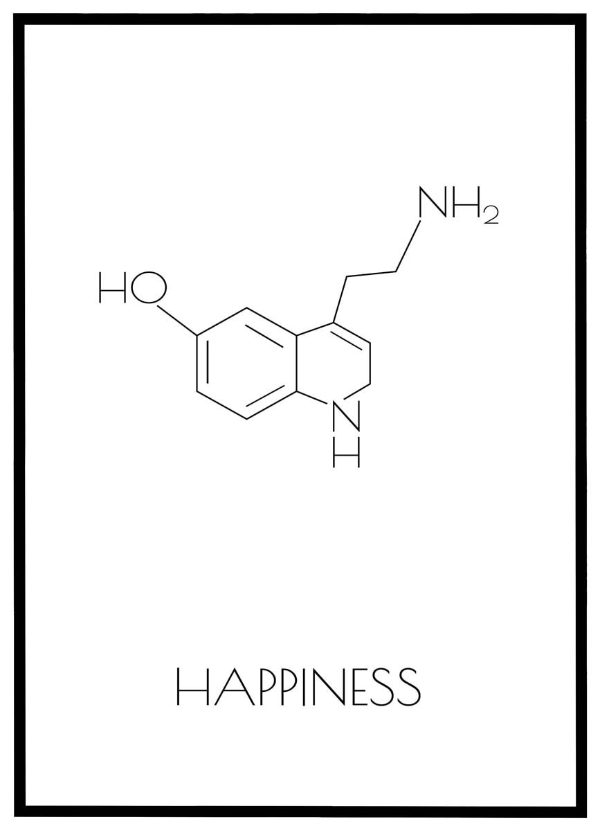 Plakat Happiness - Plakater