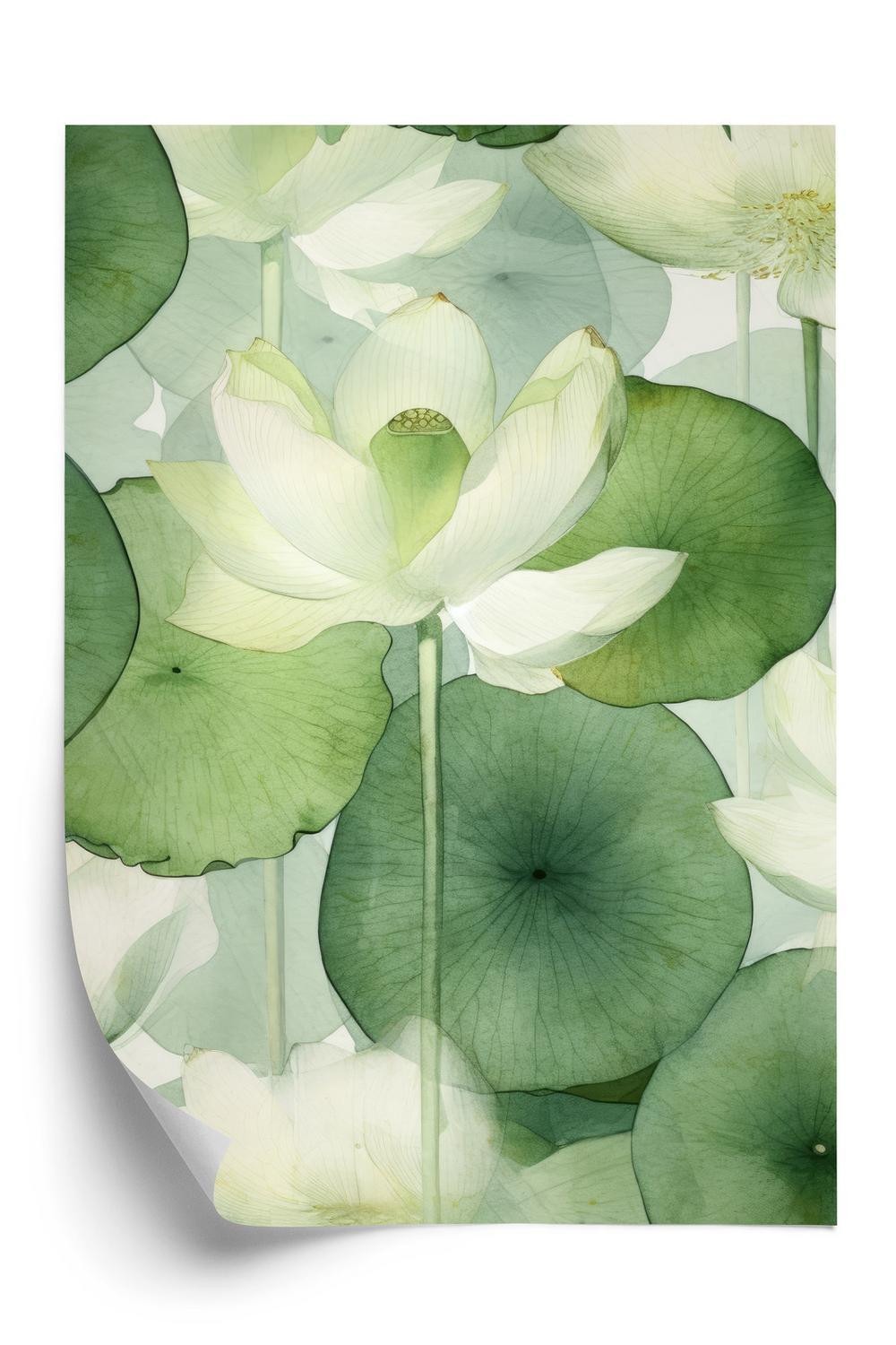 Hvid Plakat Lotusblomst Grønne Blade Akvarel - Doboxa Plakater