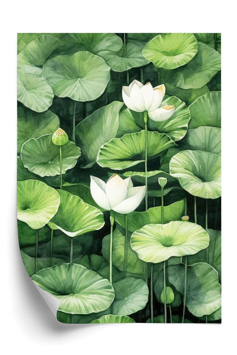 Hvid Plakat E Blomster Blandt Grønne Lotusblade - Doboxa Plakater