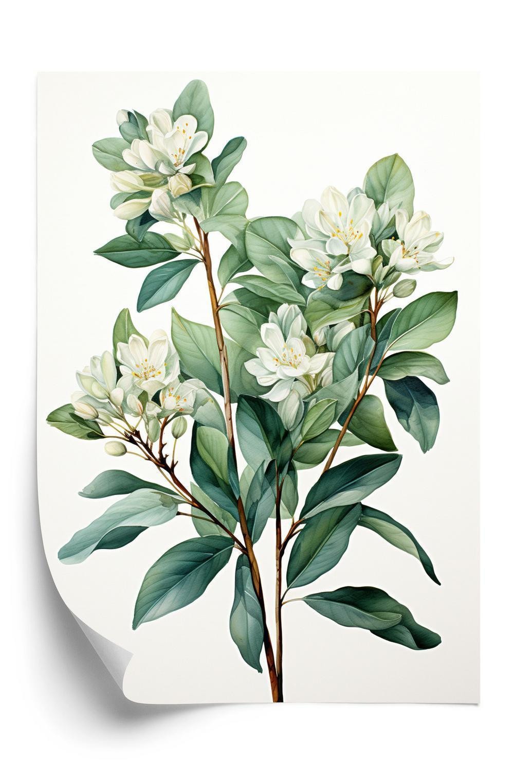 Hvid Plakat E Blomster Gren - Doboxa Plakater