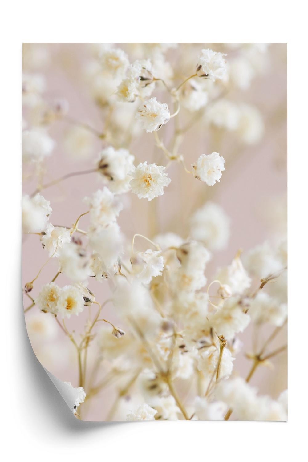 Hvid Plakat E Små Blomster Lyserød Baggrund - Doboxa Plakater