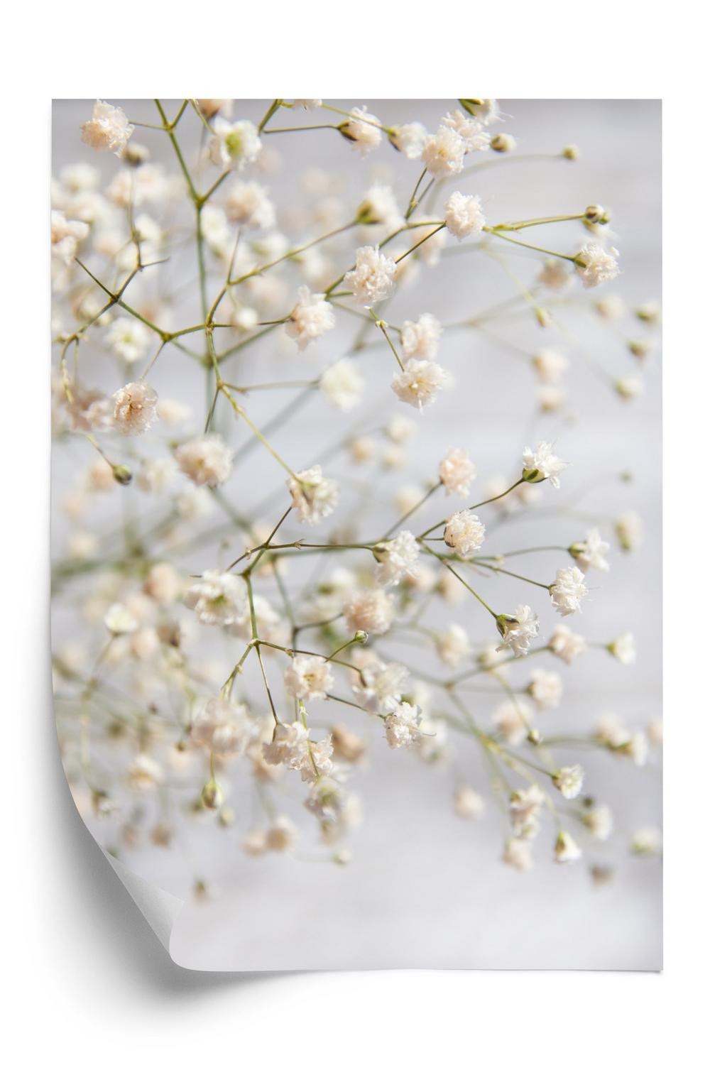 Hvid Plakat E Små Blomster Tynde Kviste - Doboxa Plakater
