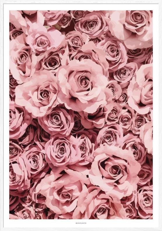 Pink Grafisk Plakat Roses - Unikplakat.dk Plakater