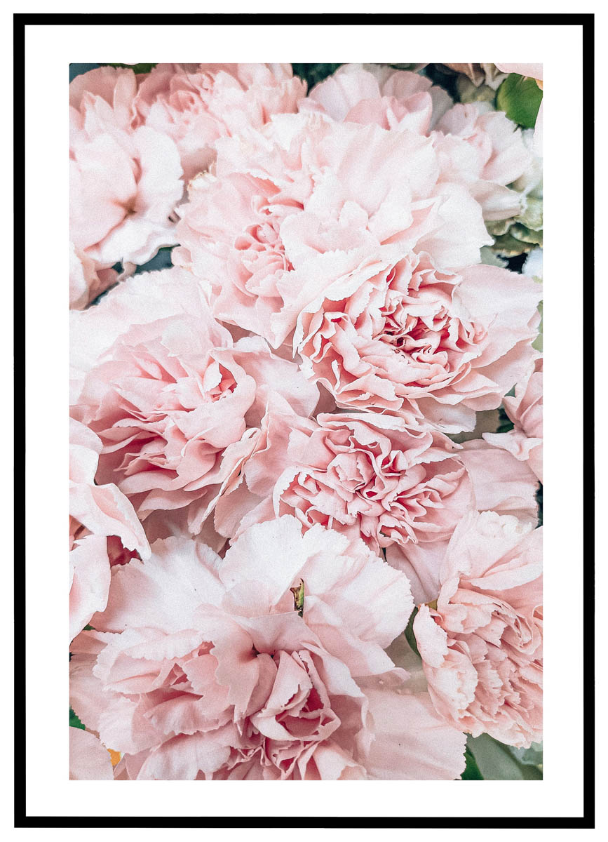 Plakat Lyserøde Blomster - Plakater