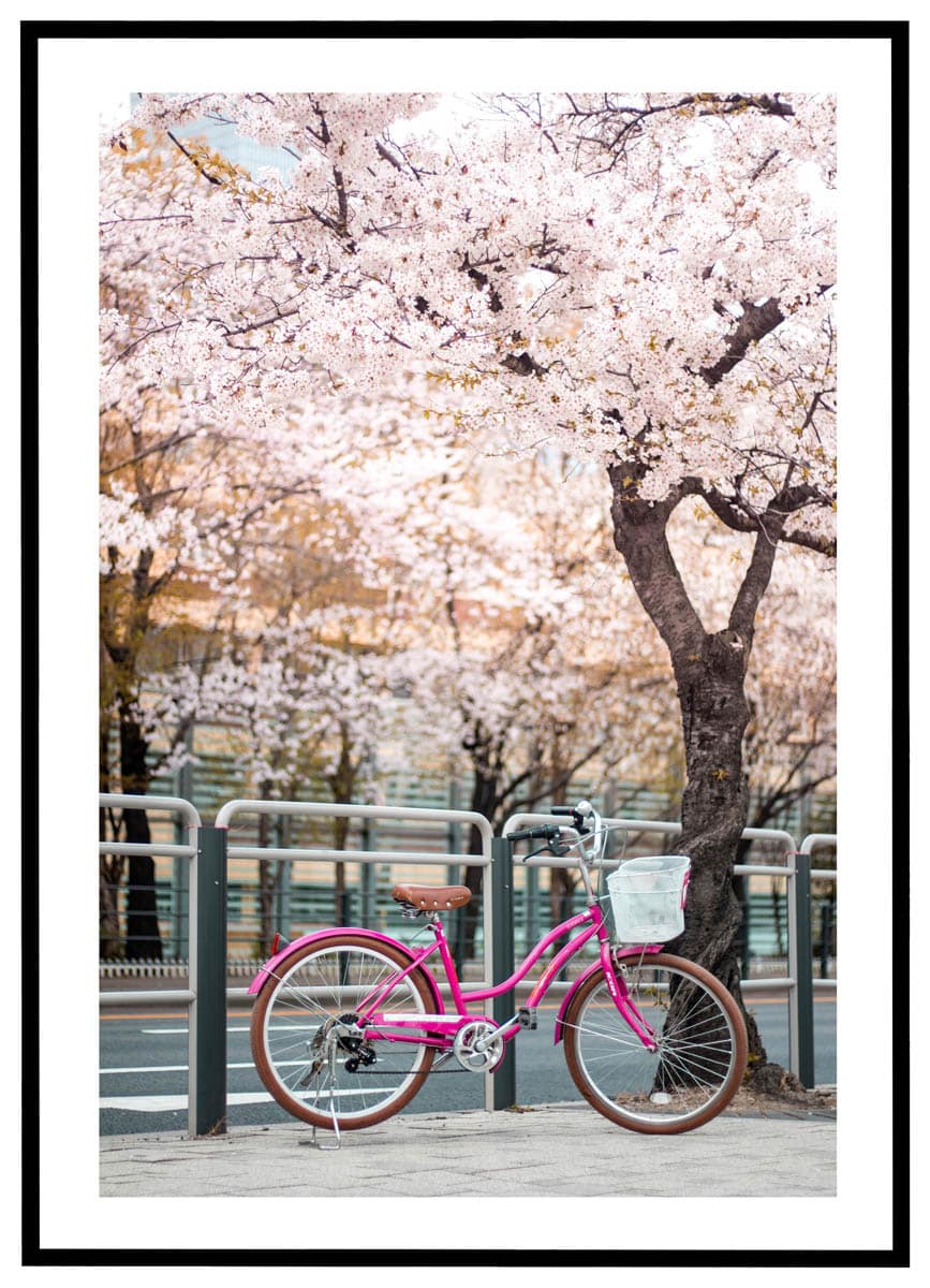 Pink Plakat Cykel Under Træ - Plakater