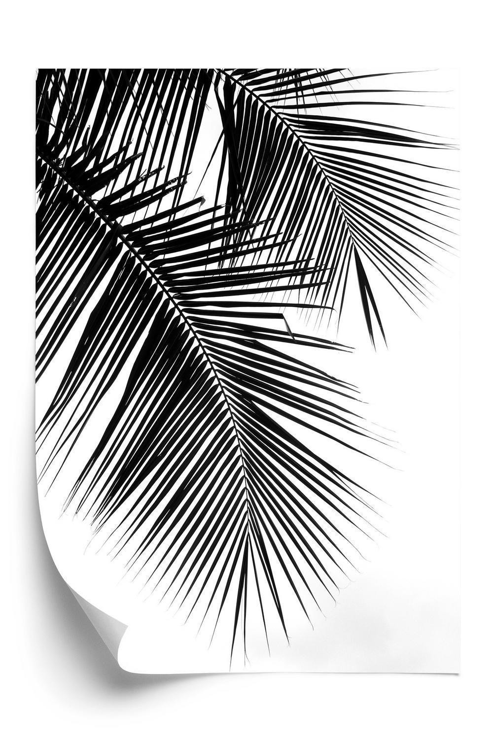 Plakat Smukke Sorte Palmeblade - Doboxa Plakater