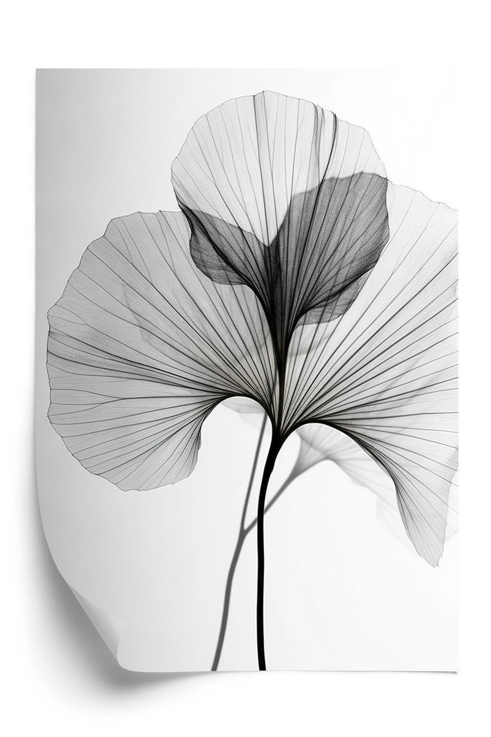 Plakat Sorte Ginkgo Blade - Doboxa Plakater