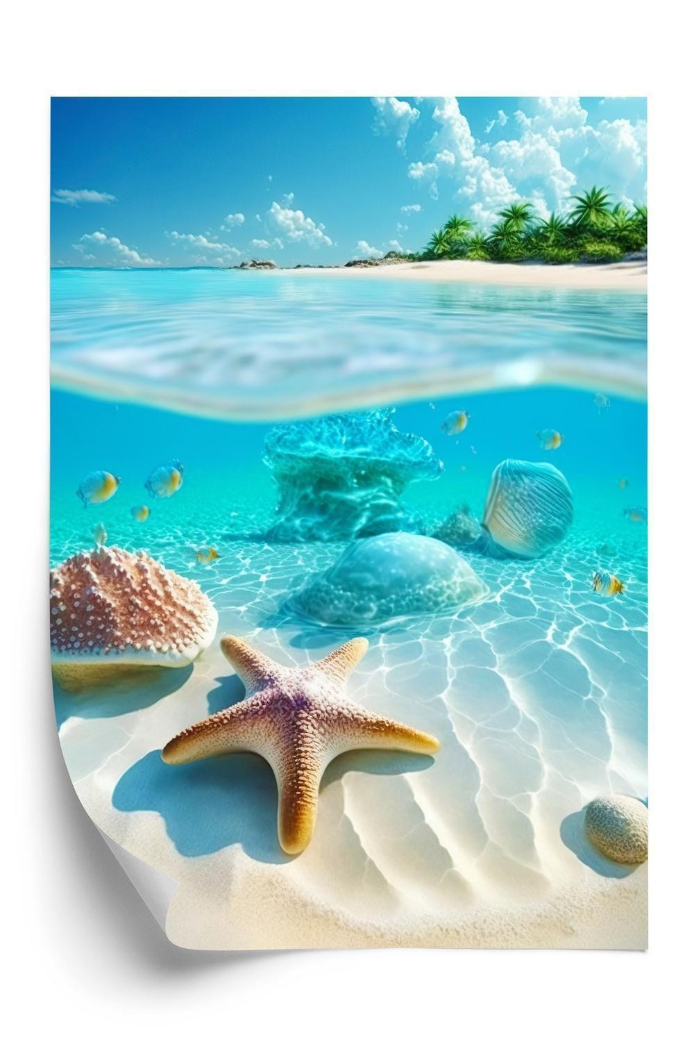 Plakat Søstjerneskaller Fisk Krystalhavet - Doboxa Plakater