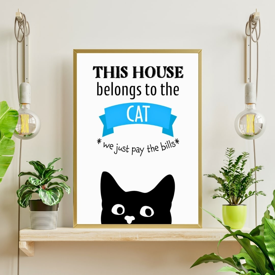 Plakat This House Belongs The Cat - Plakater