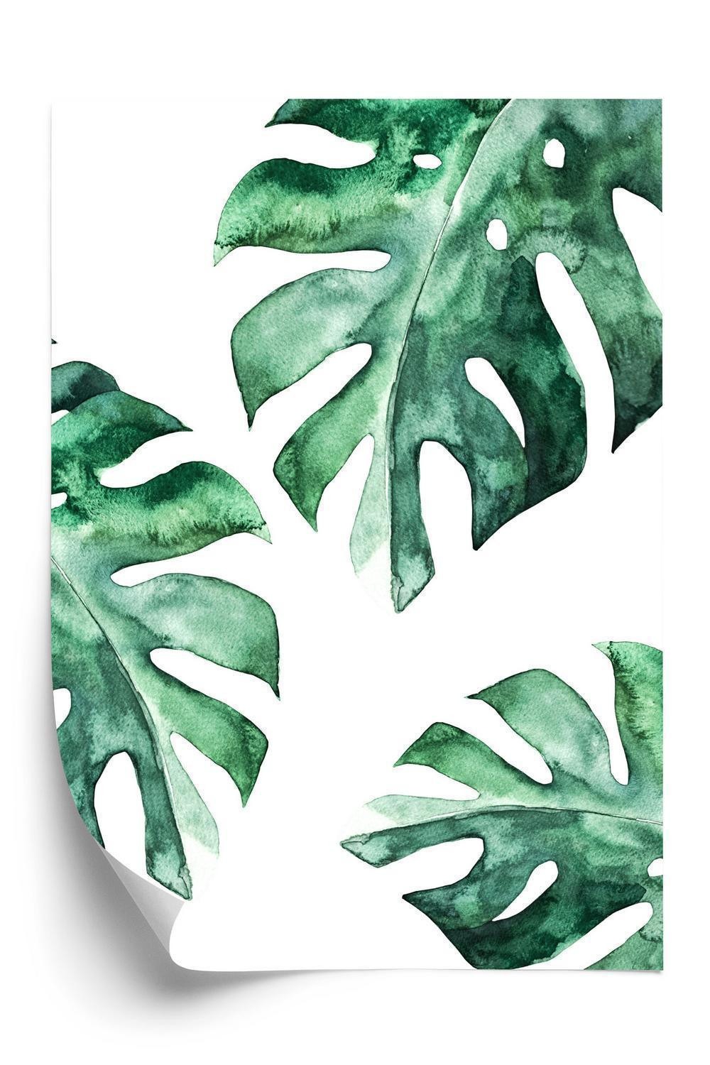 Plakat Tre Akvarel Monstera Blade - Doboxa Plakater