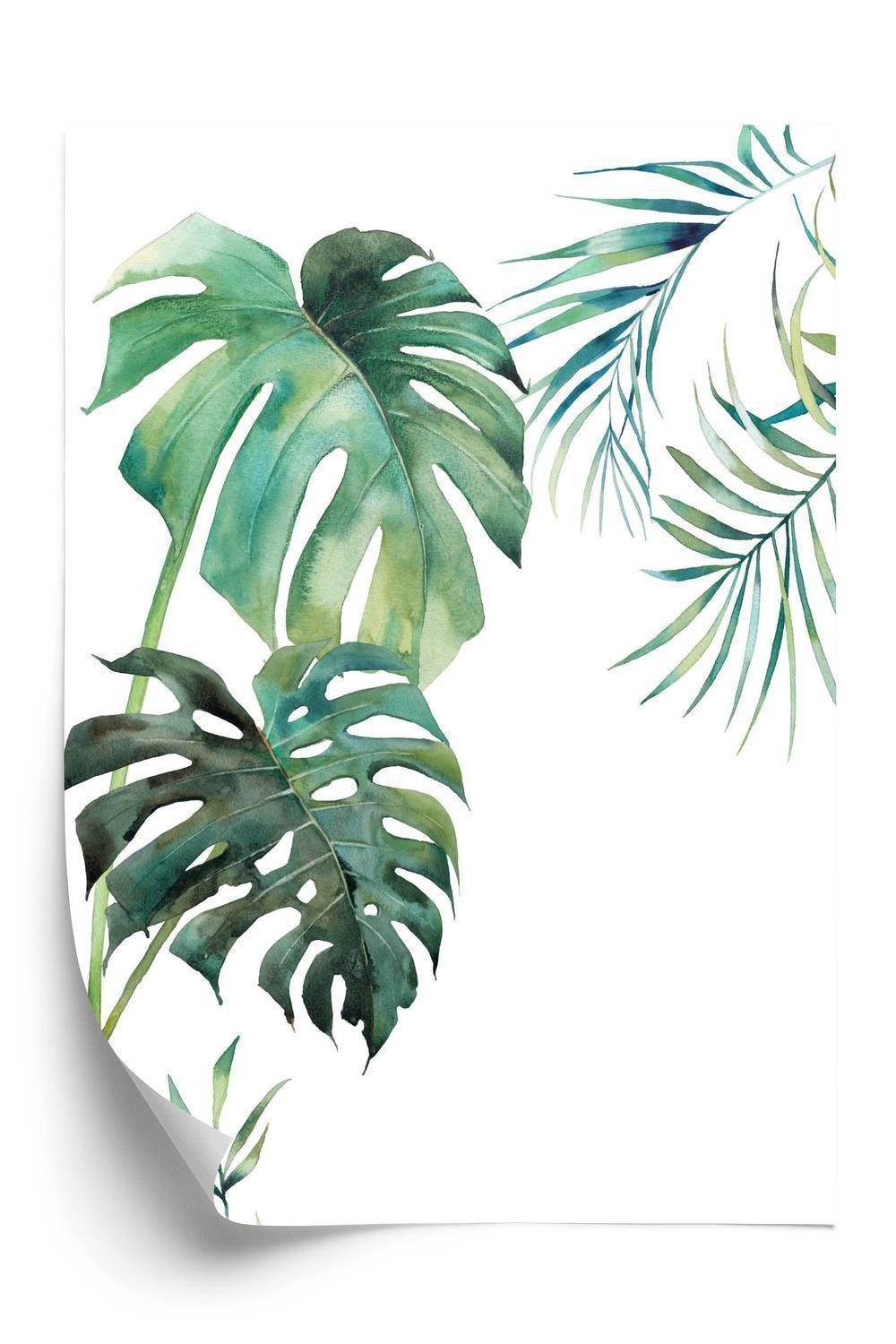 Plakat Tropisk Mønster Med Akvarel Palme Monstera Blade - Doboxa Plakater