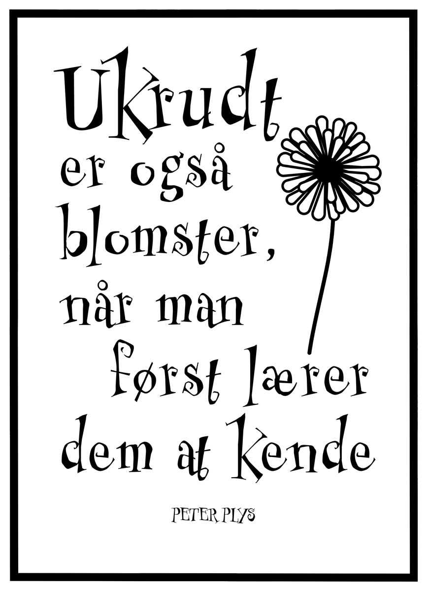 Plakat Ukrudt Også Blomster - Plakater