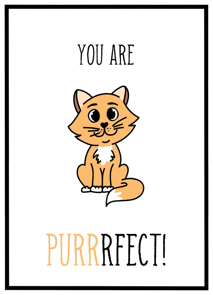 Plakat You Are Purrrfect - Plakater