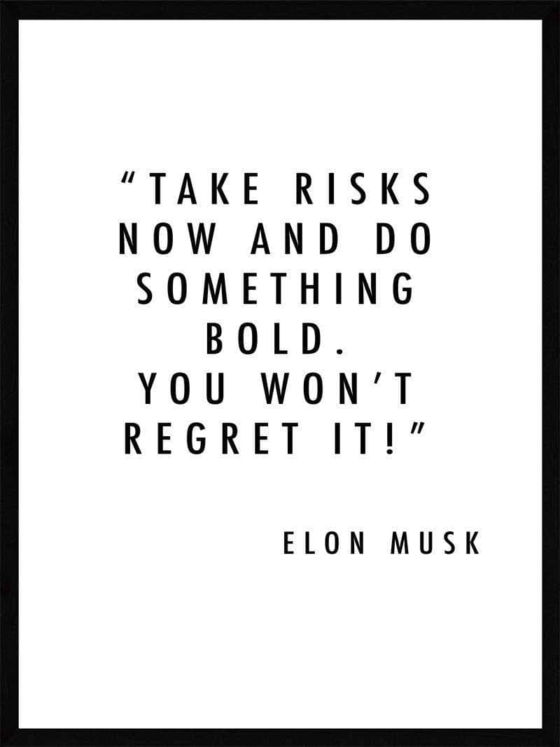 Take Risks Now Elon Musk Plakat - Postersbyus Plakater
